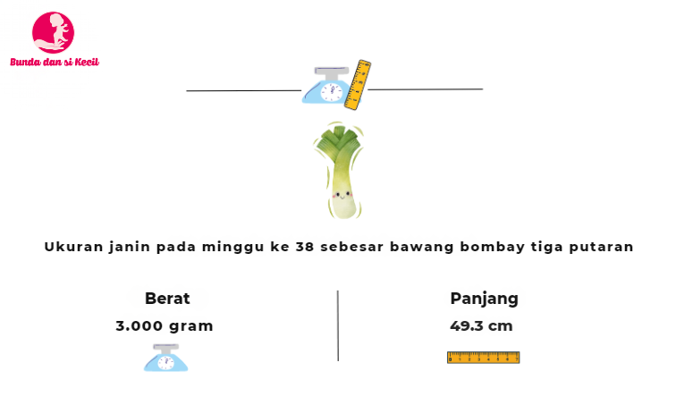 hamil 38 minggu, perkembangan janin, persiapan persalinan, gejala kehamilan akhir, Bunda, si Kecil, Ibu Hamil